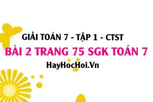 Giải bài 2 trang 75 Toán 7 Tập 1 SGK Chân trời sáng tạo: Góc và tia phân giác